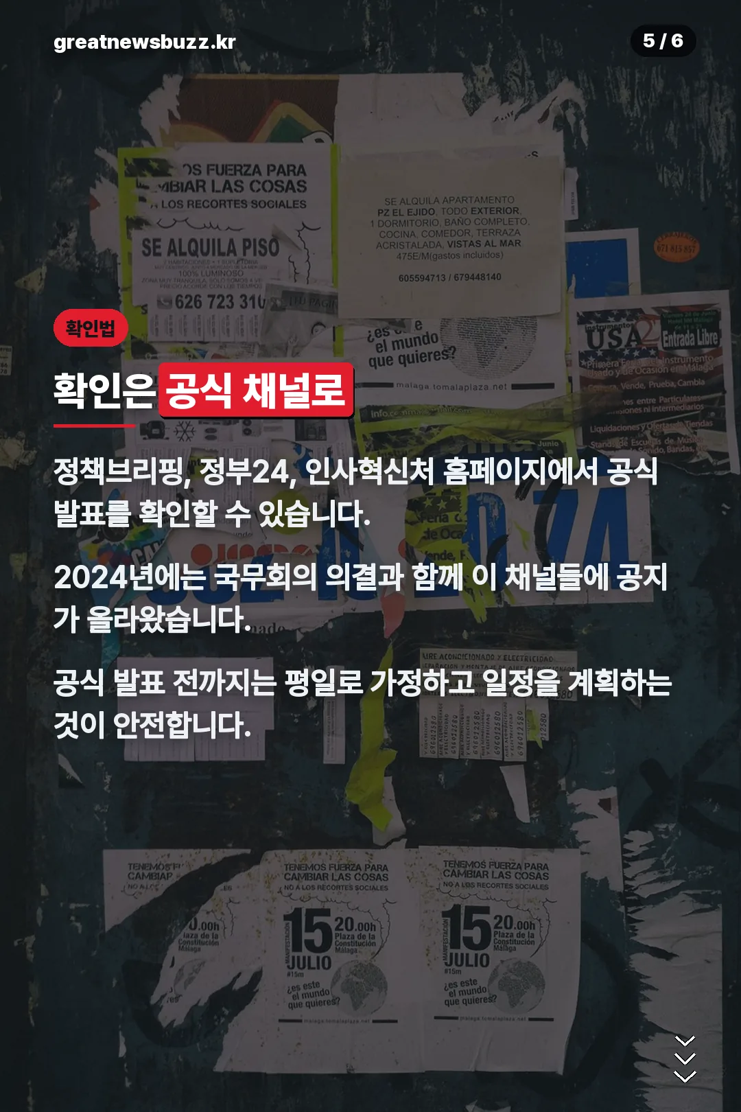 공식 채널로 확인하는 법