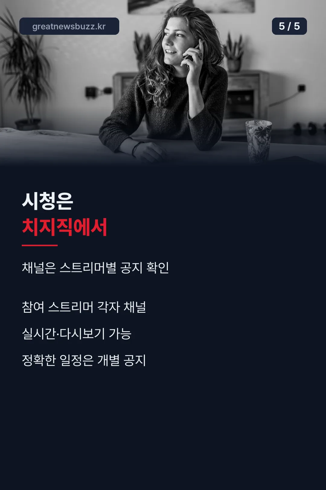 시청은 치지직에서