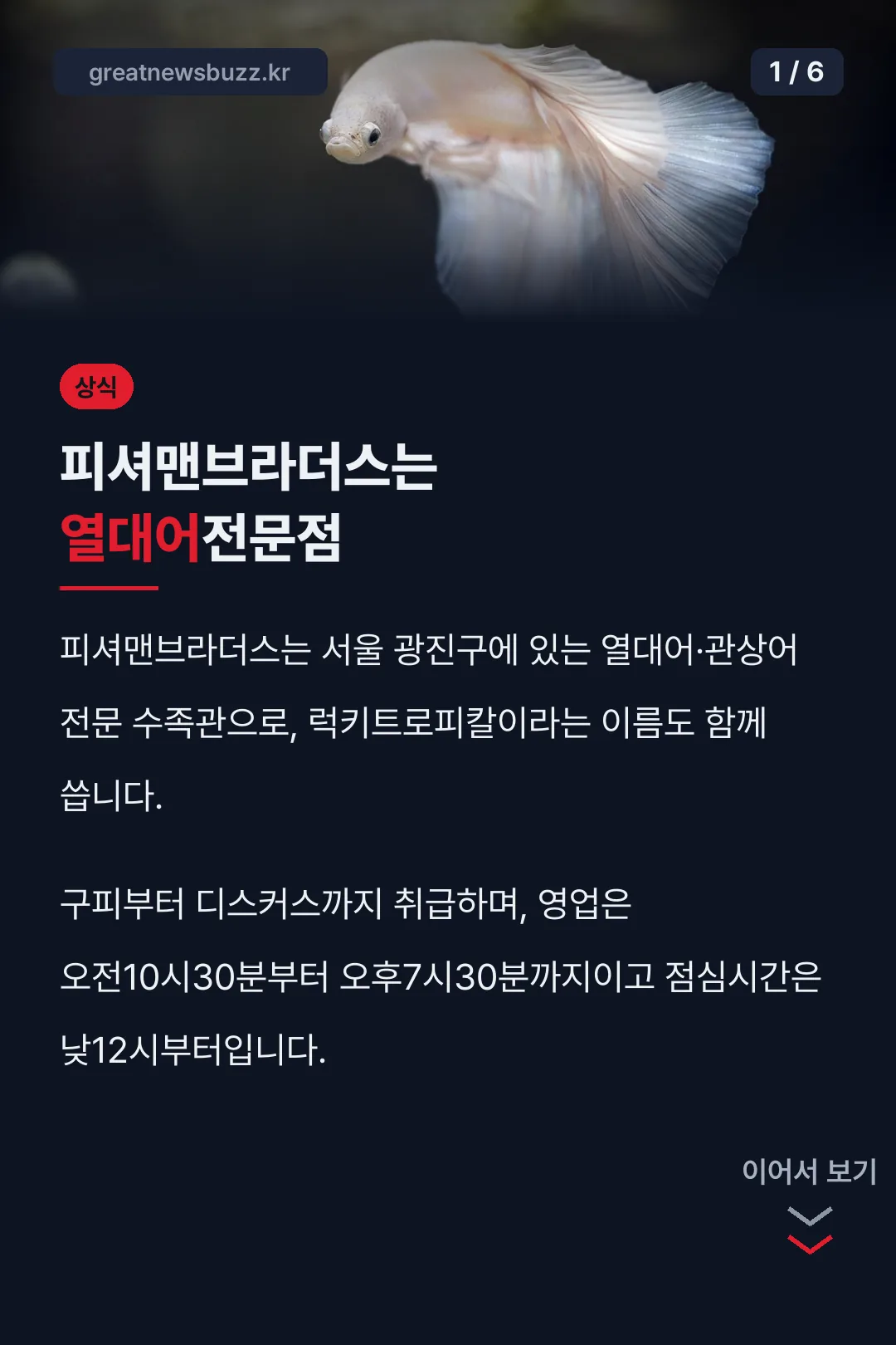 피셔맨브라더스는 열대어전문점