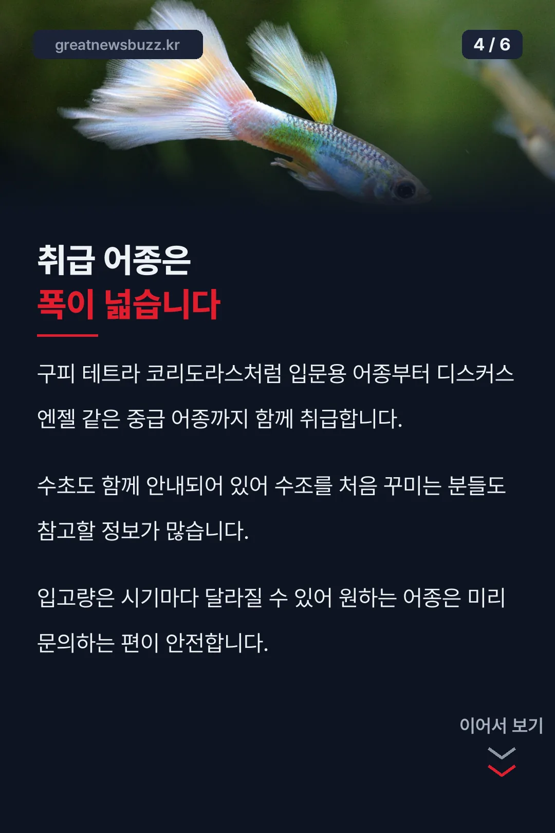 취급 어종 폭 넓음