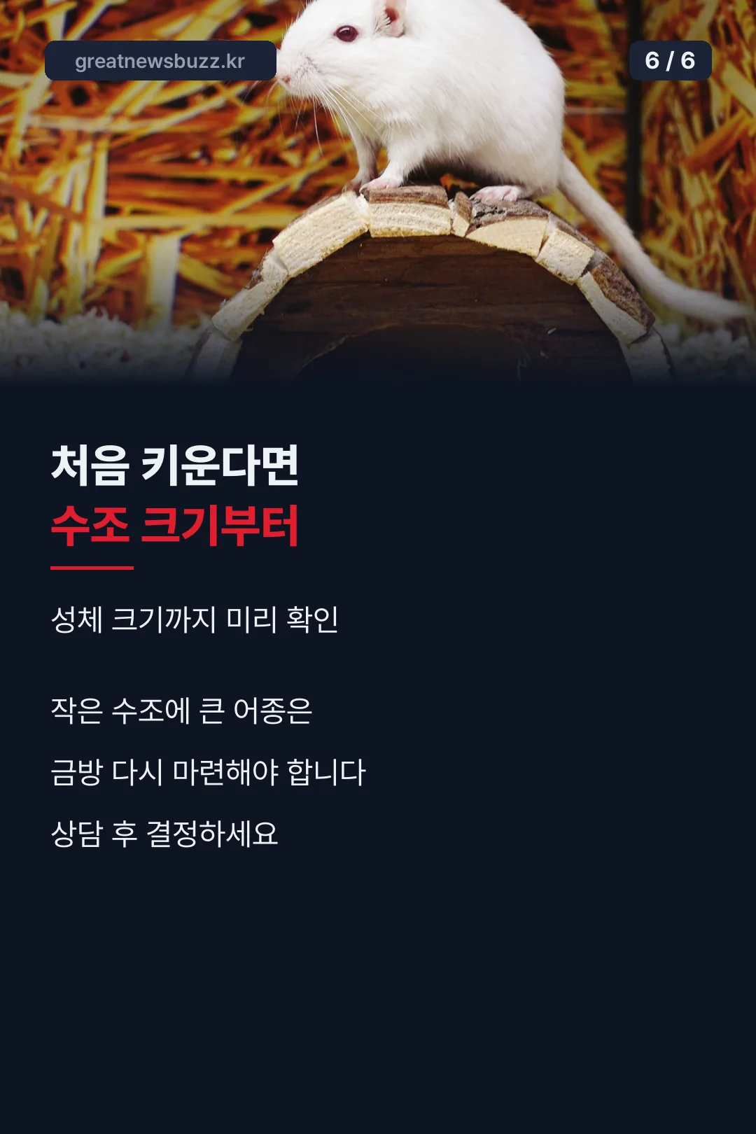 수조 크기부터 확인