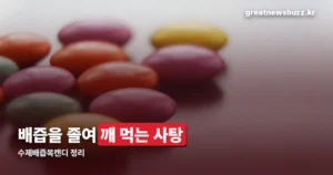 수제배즙목캔디 원재료와 맛 차이 — 강한맛 덜강한맛 고르는 기준
