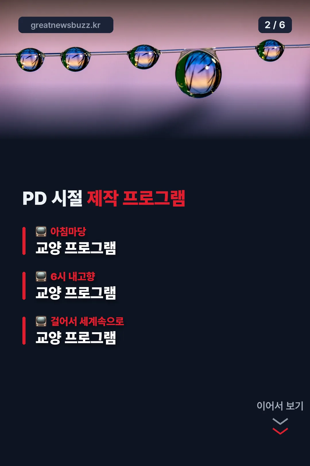 PD 시절 프로그램