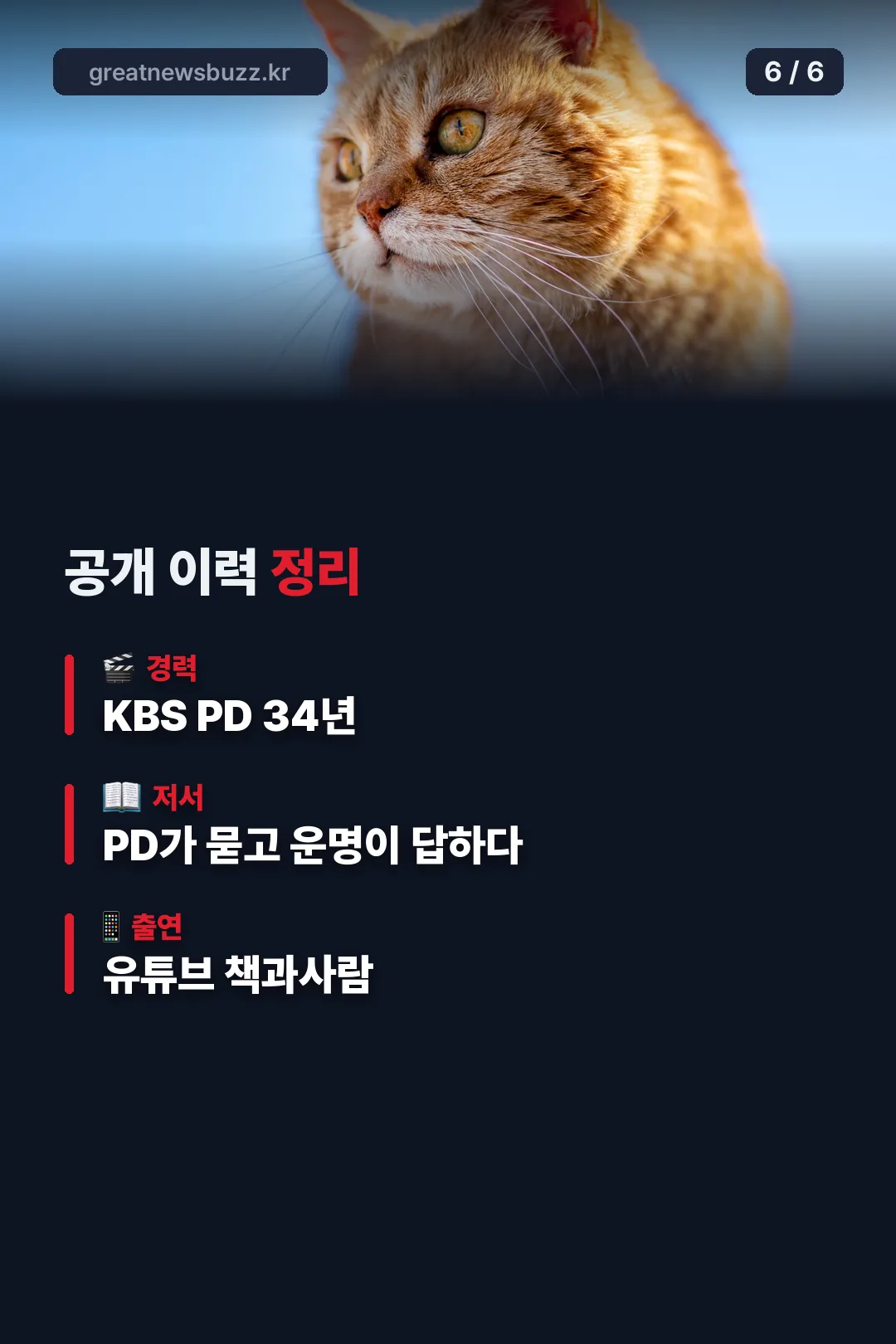 공개 이력 정리