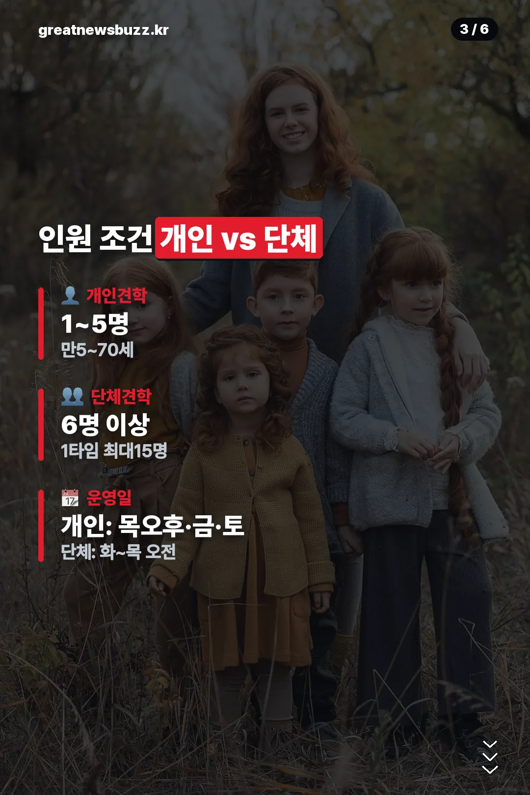 인원 조건 개인 vs 단체