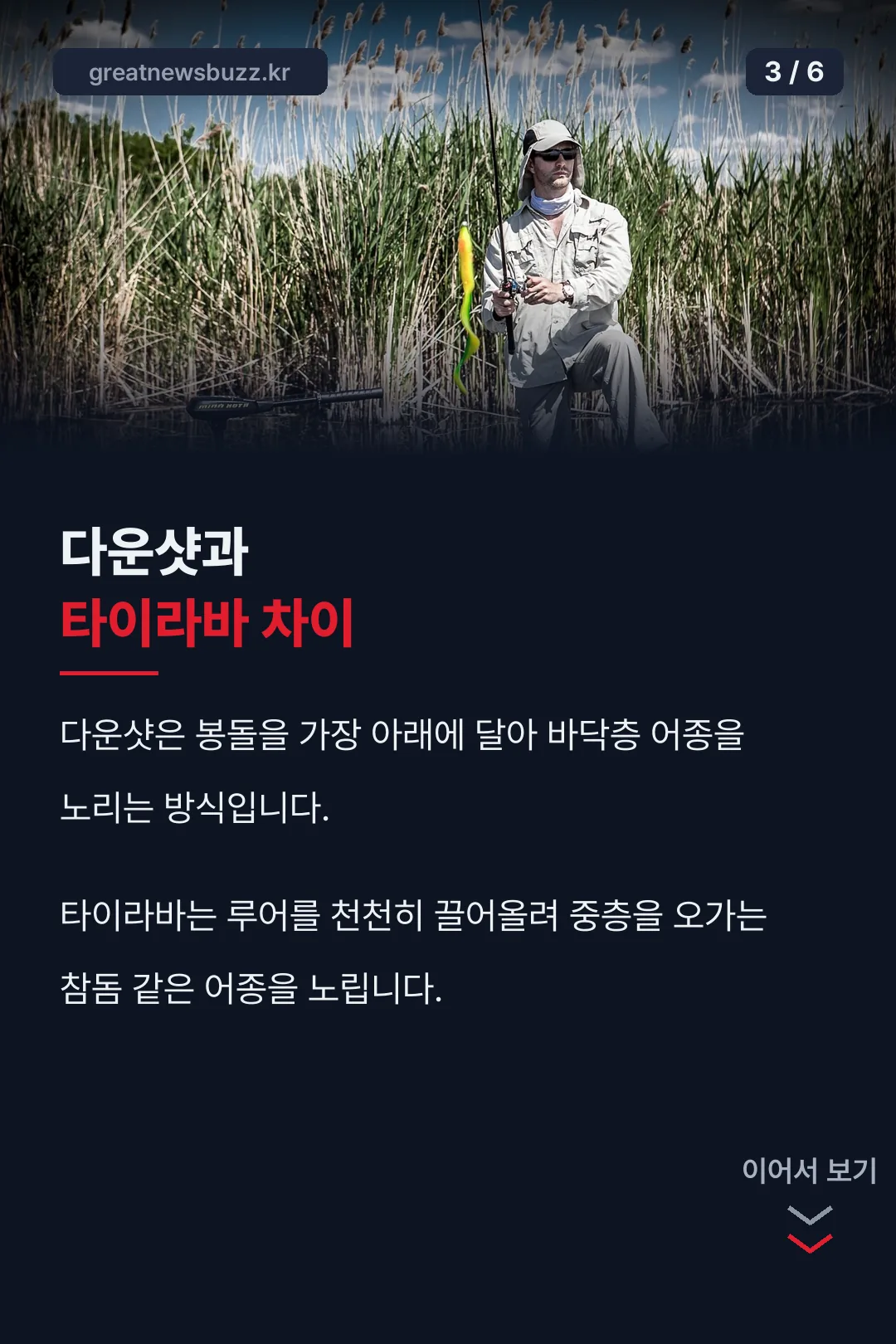 다운샷과 타이라바 차이