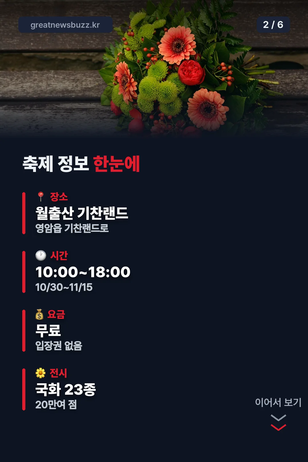 축제 정보 한눈에