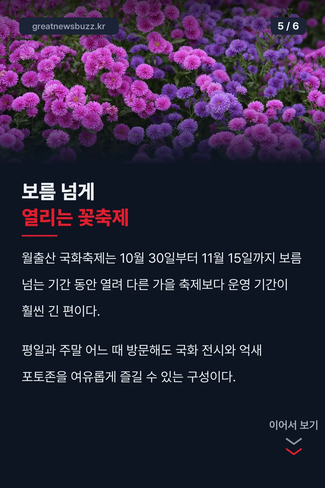 보름 넘게 열리는 꽃축제