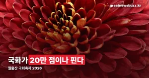 월출산 국화축제 2026 — 10월 30일부터 11월 15일까지 기찬랜드, 국화 20만 점