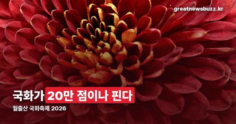 월출산 국화축제 정리 썸네일