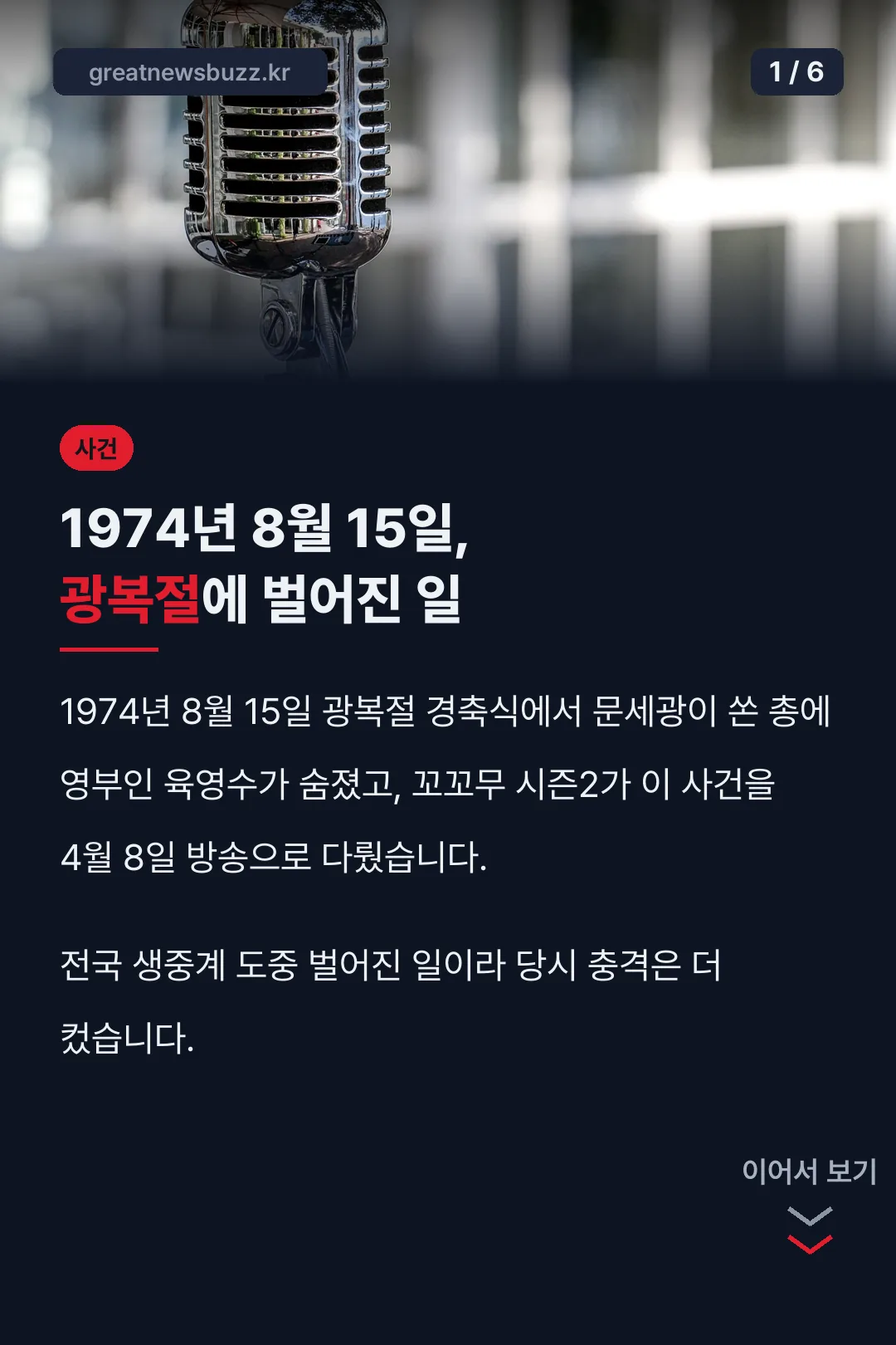 8.15 저격 사건 개요